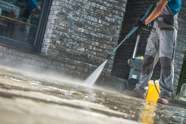 Best Animal Enclosure Cleaning  in Dunean, SC